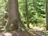 IMG_5013.jpg