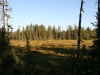 IMG_5247.jpg