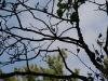 IMG_5715.jpg