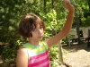 DSC01340.jpg