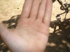 DSC01342.jpg