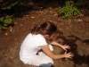 DSC01344.jpg