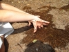 DSC01347.jpg