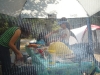 DSC01350.jpg