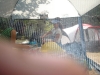 DSC01351.jpg