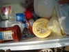 DSC01353.jpg