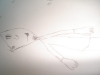 DSC01487.jpg