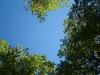 DSC01493.jpg