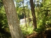DSC01494.jpg