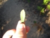 DSC01251.jpg