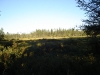 DSC01257.jpg